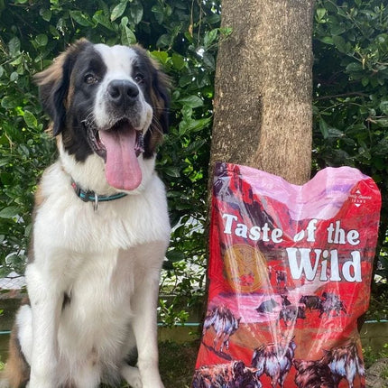 Taste of the Wild Dog Taste of the Wild Southwest Canyon Grain Free Dry Dog Food Wild Boar 12.2 kg