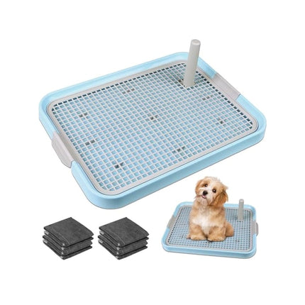 Tray Dog Dog Potty training Tray 60x46 cm