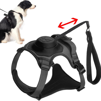 TREPONTI Dog Harness and leash all in one for large dog