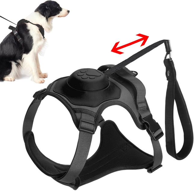 TREPONTI Dog Harness and leash all in one for large dog
