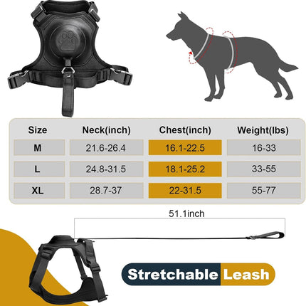 TREPONTI Dog Harness and leash all in one for large dog