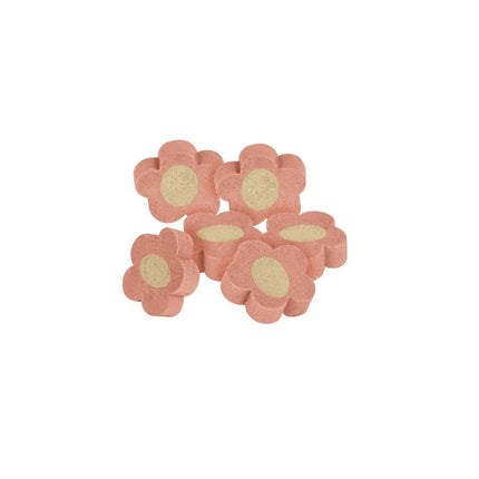 Trixie Dog Trixie Soft Flower Shape Dog Treats with Chicken And Lamb 75 gr
