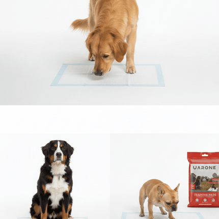 UARONE Dog UARONE TRAINING PADS 60*90cm 10PADS