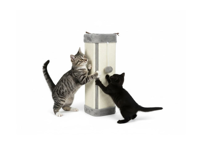 Zoofari cat scratcher 60 cm × 32 cm × 2.2 cm