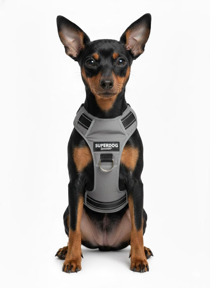 Zoofari dog harness XS approx 30 - 39 cm grey