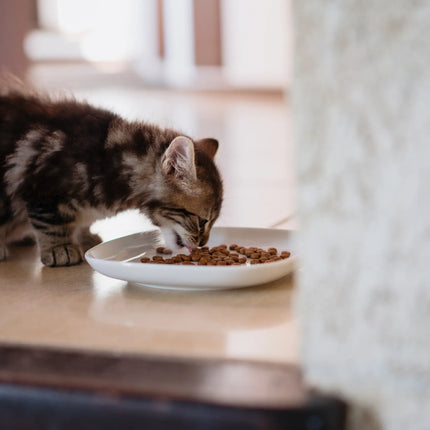 virbac Cat Virbac Kitten Pre Neutered Balanced Dry Kitten Food 1.5 kg