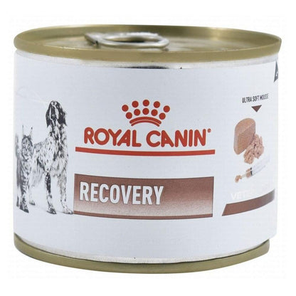 Royal Canin Recovery Ultra Soft Mousse Diabetic Wet Food 195 gr