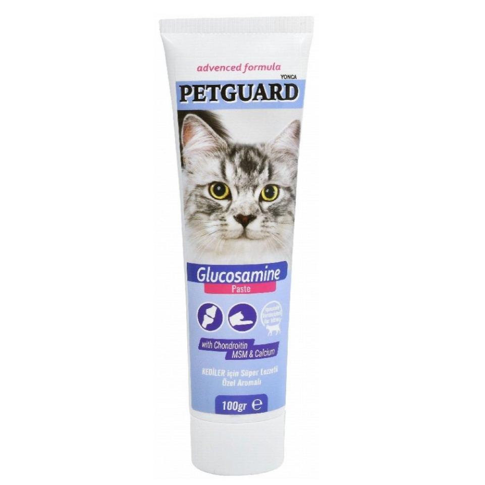 Petguard Glucosamine Paste 100G