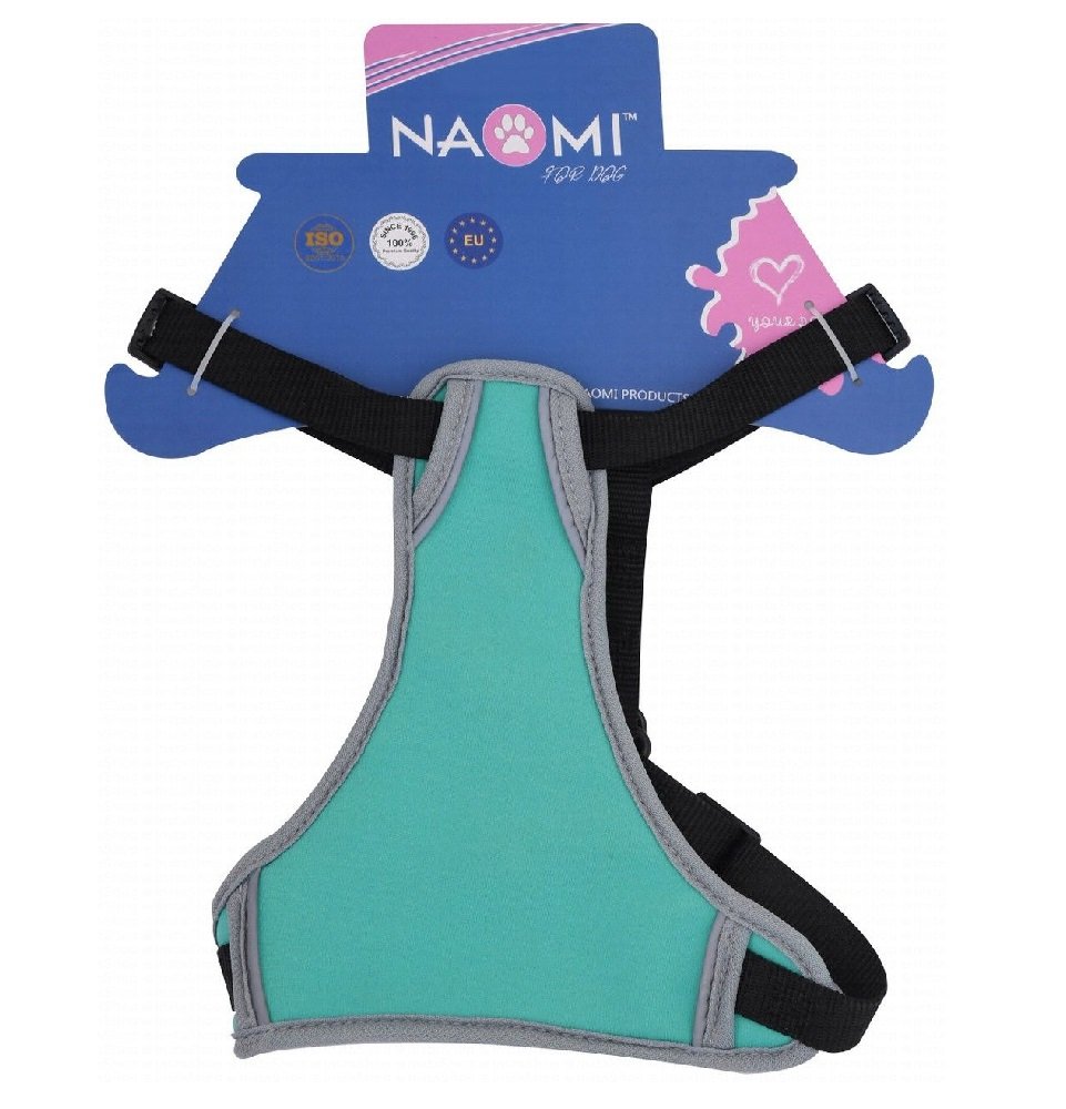 Naomi Small Black in Green Dog Harness