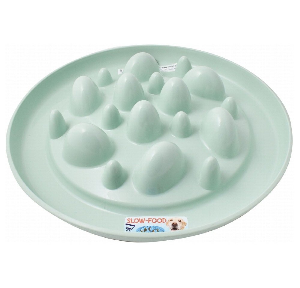 Georplast Large Cactus Shape Slow Feeding Pet Plate