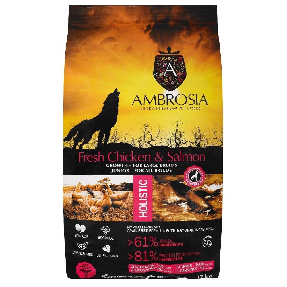 Ambrosia Dry Food with Chicken and Salmon for puppy Dogs 12k