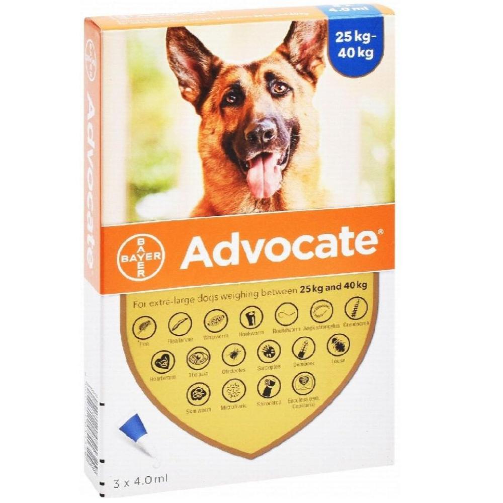 Advocate Flea and Tick Solution for XL Dogs 4 ml (25-40kg)