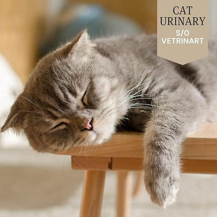 WAGS Cat WAGS Chicken and Duck Cat Dry Food Urinary S/O 2Kg