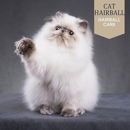 WAGS Cat WAGS Chicken and Duck Hairball Cat Dry food 2 Kg