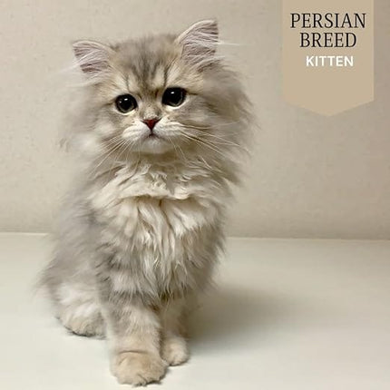 WAGS Cat WAGS Chicken and Duck Persian Kitten Cat Dry Food 2kg