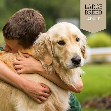 WAGS Dog Wags Dog Dry Food Puppy Large Breed Chicken And Duck 4 kg