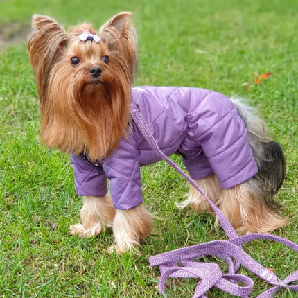 WAUDOG Dog Wau Dog Large to XL Purple Leash 150 in 2.5cm