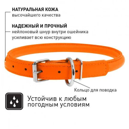 WAUDOG Dog WAUDOG Glamour Round Dog Collar Orange 53-61 cm 13 mm