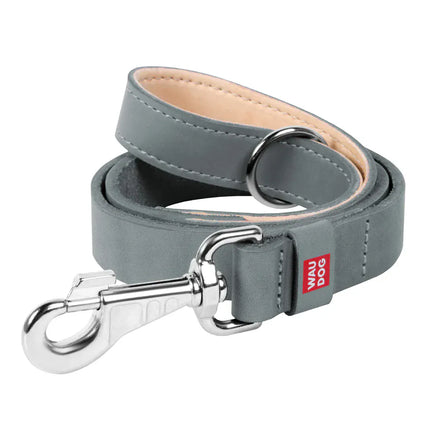 WAUDOG Dog WAUDOG Large to 2XL grey Dog Leash 122 in 2.5cm