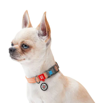 WAUDOG Dog WAUDOG Re-cotton Dog Collar with QR Passport Reflective Orange 33-49 cm 25 mm