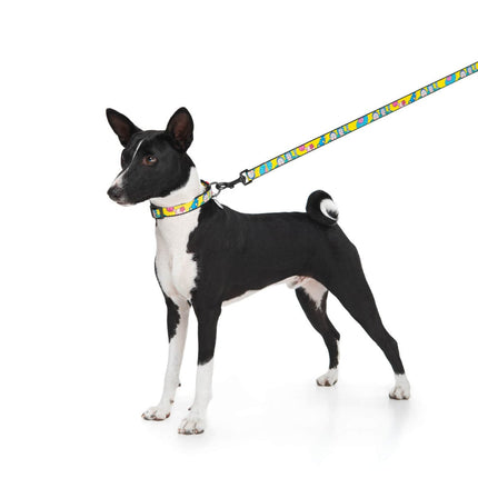 WAUDOG Dog WauDog Rick and Morty Print Dog Leash 122 in 2 cm
