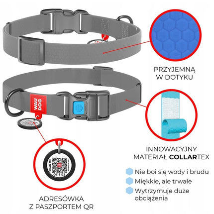 WAUDOG Dog WAUDOG Waterproof Dog Collar Plastic Size L 25 mm 31-49 cm Blue