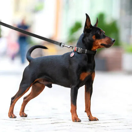 WAUDOG Dog WAUDOG Waterproof Dog Leash Light Black 20 mm x 183cm
