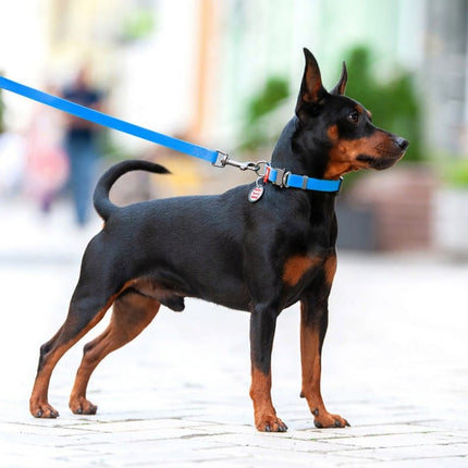 WAUDOG Dog WAUDOG Waterproof Dog Leash Light Blue 15mm x 183cm