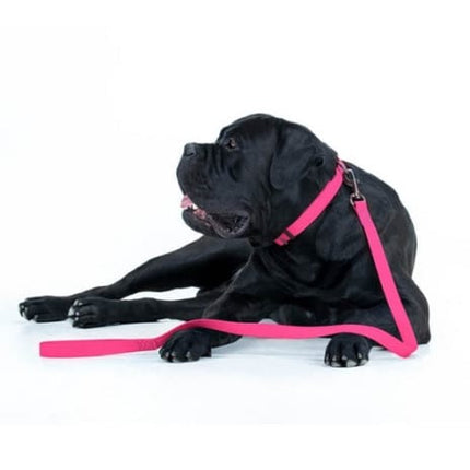 WAUDOG Dog WAUDOG Waterproof Dog Leash Light Fuchsia 15 mm x 183cm
