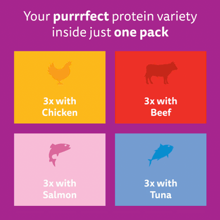 Whiskas Cat Whiskas Kitten Wet Cat Food Pouches in Jelly Mixed Selection Pack for Kittens 12 x 85g