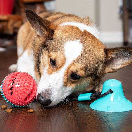 Won Puppy Dog Won Puppy Ball toy With Sticky