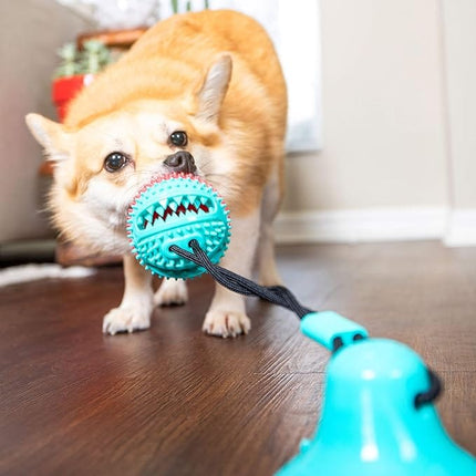 Won Puppy Dog Won Puppy Ball toy With Sticky