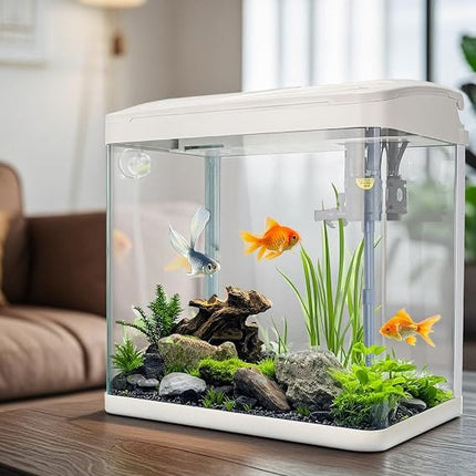 Xilong Fish Acrylic Fish Tank and Aquarium Starter Kit Complete Desktop Fish Bowl with Built-in Filter and LED Light Size 60×50