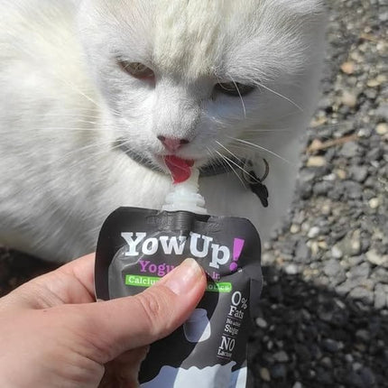 YOWUP cat YowUp! Natural Yogurt with Prebiotics for Cats 85g