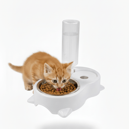 Ziggy Pupps Cat Cat Bowl Double Bowl Automatic Drinker