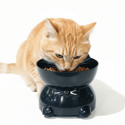 Ziggy Pupps Cat Cat bowl Made of lightweight plastic Size Small