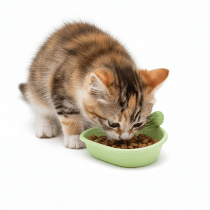 Ziggy Pupps Cat Cat Bowl Pet Food 12 Mm