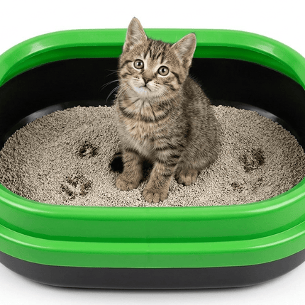 Ziggy Pupps Cat Cat Litter Box Cat Toilet With Border 45x38x15cm Green