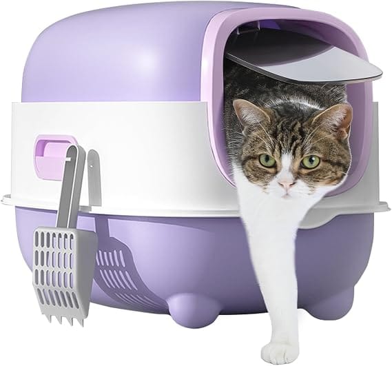 Ziggy Pupps Cat Cat Litter Box for Cats Easy to Clean Size  56× 39 × 40cm Purple