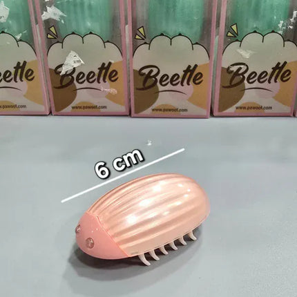 Ziggy Pupps Cat Cat toy chasing beetle inspiring the hunting instinct