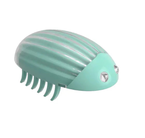 Ziggy Pupps Cat Cat toy chasing beetle inspiring the hunting instinct