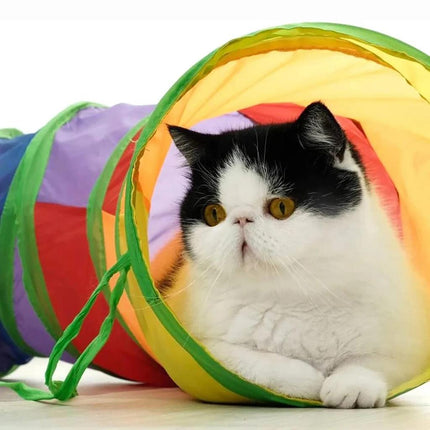 Ziggy Pupps Cat Cat Toy Play Tunnel Length 122 cm
