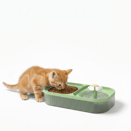 Ziggy Pupps Cat Dispenser Water Fountain With Food Bowl For Cats