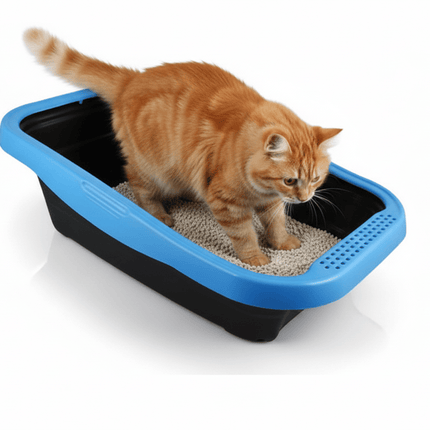 Ziggy Pupps Cat MPS Cat Litter Tray with Rim Black And Blue