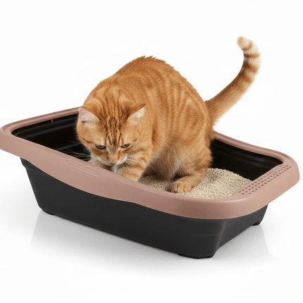 Ziggy Pupps Cat MPS Cat Litter Tray with Rim Black And Brown