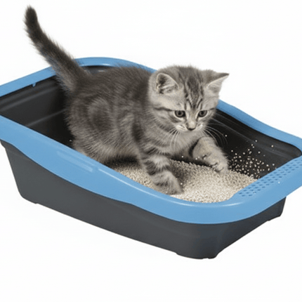 Ziggy Pupps Cat MPS2 Nella Black And Blue Cat Litter Tray with Rim 58x37.5x18cm