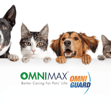 Ziggy Pupps Cat Omni Guard Dry Shampoo Powder 150 Gm