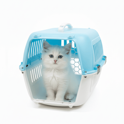 Ziggy Pupps Cat Pet Carrir Box Medium Size Available in two colors light blue and light green