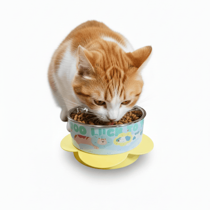 Ziggy Pupps Cat Pet Feeding Bowl For Feeding Pets Removable Desing For Easy Pet Bowl 12 Mm