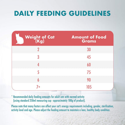 Ziggy Pupps Cat Purina ONE Dry Food for adult cat With Salmon 200 gr